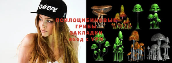 прущие грибы Осинники