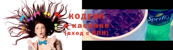 ПСИЛОЦИБИНОВЫЕ ГРИБЫ Заполярный