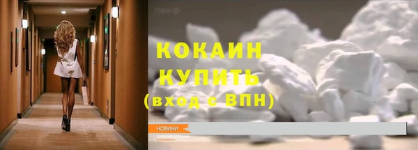 прущие грибы Осинники