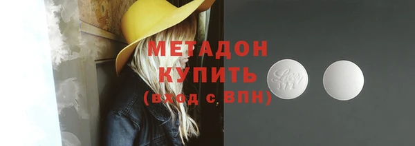 прущие грибы Осинники