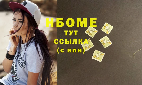 мдпв Новозыбков