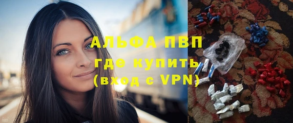 молекула духа Новодвинск